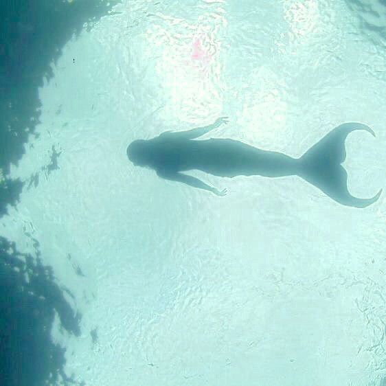 swimming mermaid