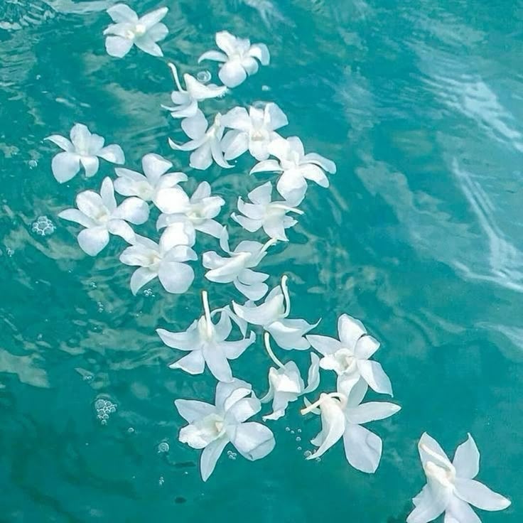 white flowers in water